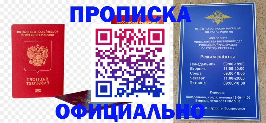 прописка иностранных граждан в Жердевке